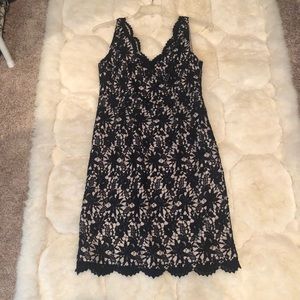 Ann Taylor Dress
